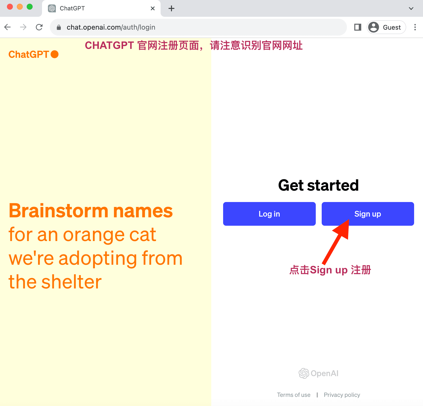 chatgpt 注册页面